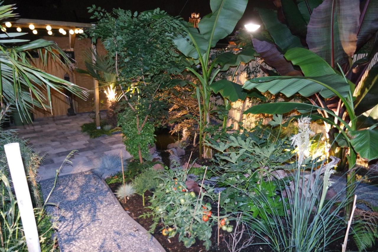 Jungle Stay In A Hidden Paradise Zwijndrecht Eksteriør billede