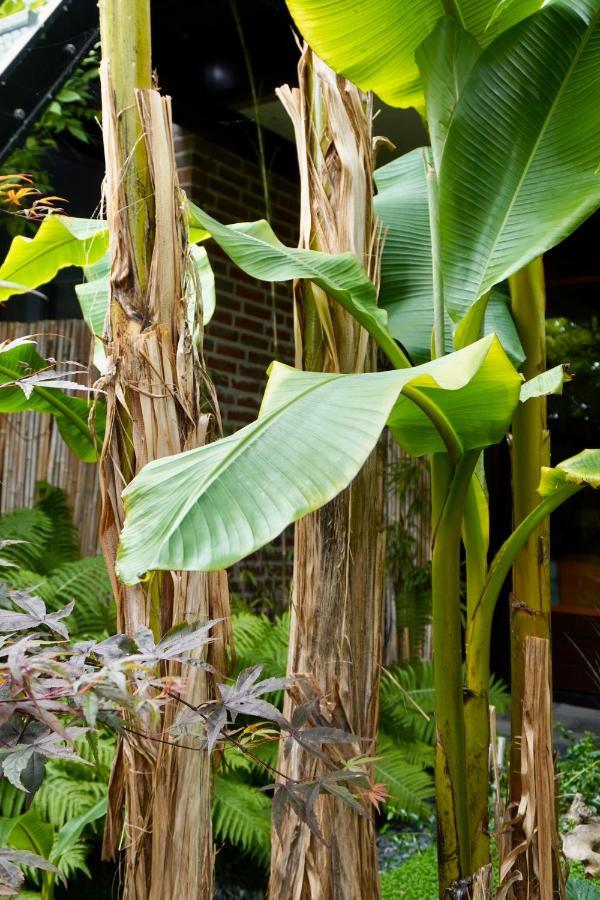 Jungle Stay In A Hidden Paradise Zwijndrecht Eksteriør billede