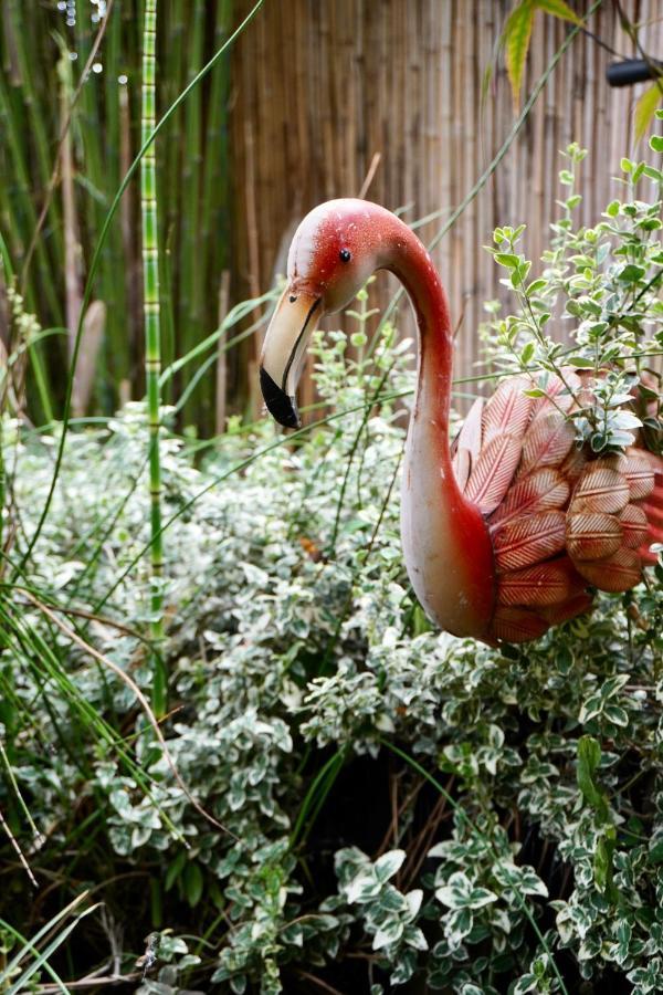 Jungle Stay In A Hidden Paradise Zwijndrecht Eksteriør billede