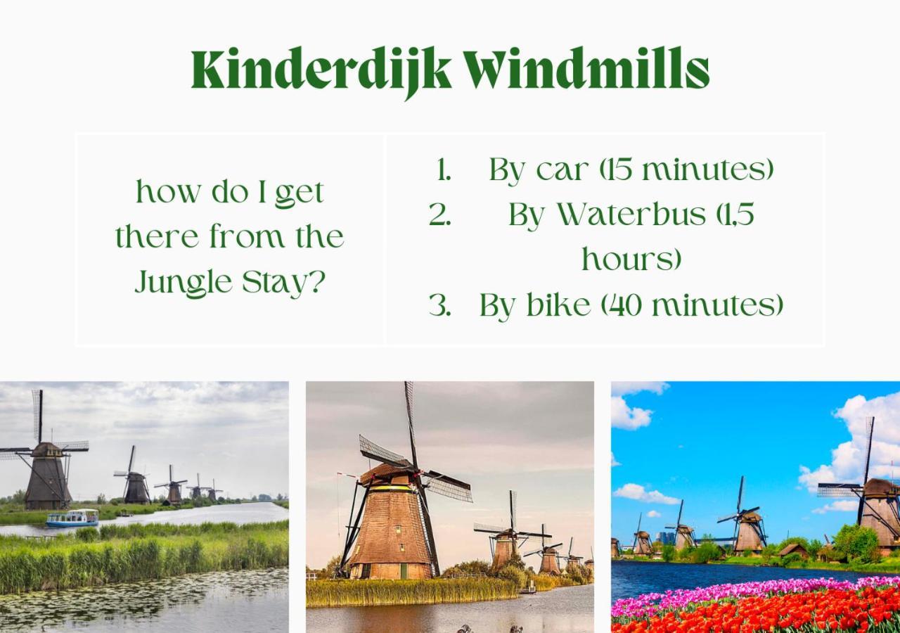 Jungle Stay In A Hidden Paradise Zwijndrecht Eksteriør billede